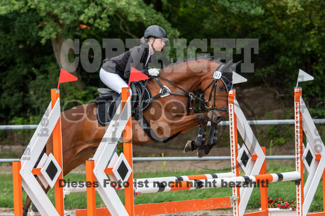 Late-Entry-Vielseitigkeit Langenfeld (06.+07.07.2020)