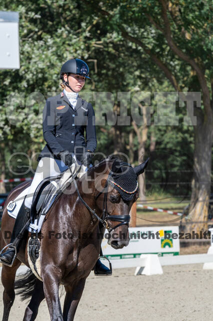 Kronenberg - De Peelbergen (August 2020)