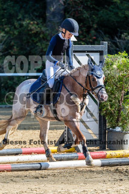 RFV Dinslaken-Hiesfeld (Herbstturnier)