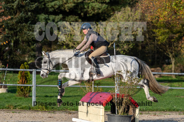 IGV Lehrgang der Sieger der Cups mit Frank Ostholt