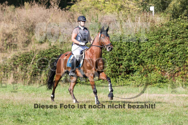 Vielseitigkeitsturnier RSV St. Hubertus Wesel Obrighoven