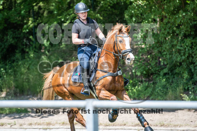 Test of Choise Langenfeld (29.+30.05.2021)