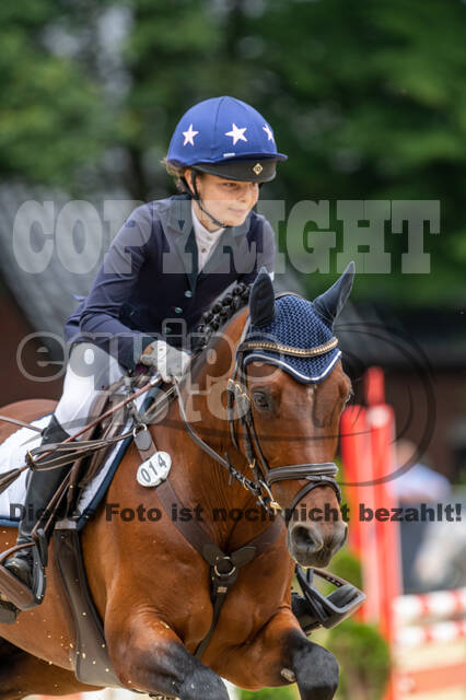 Goldene Schärpe 2021 - Ponys