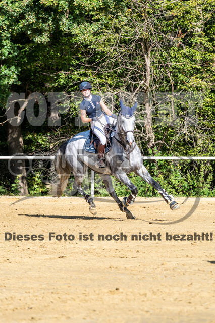 RFV Dinslaken-Hiesfeld (Herbstturnier)