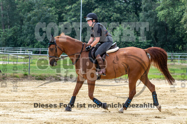 Hunter Geländetraining 10.07.2021 (Sonsbeck)