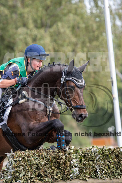 Landesturnier Rheinland, Vielseitigkeit, 22.+23.08.2020