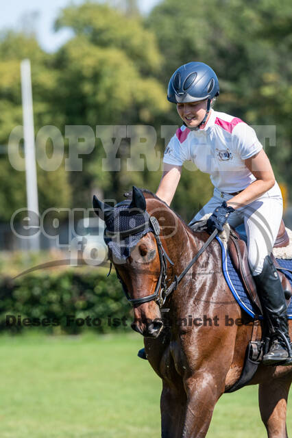 Kronenberg - De Peelbergen (August 2020)