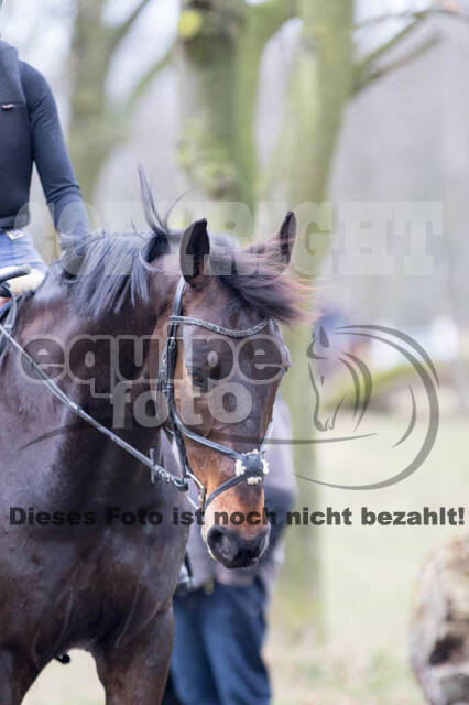 Geländetraining RSV St. Hubertus Wesel Obrighoven