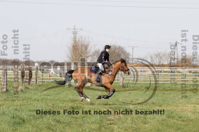 Frühjahrsvielseitigkeit RV Seydlitz Kamp