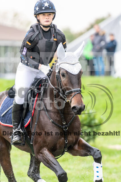 Goldene Schärpe 2020 - Pferde