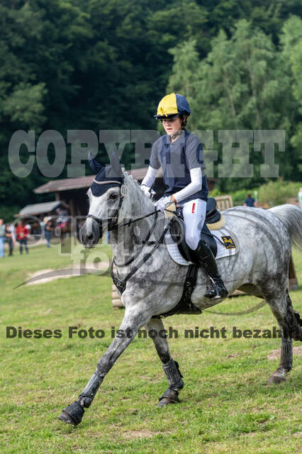 Goldene Schärpe 2021 - Ponys