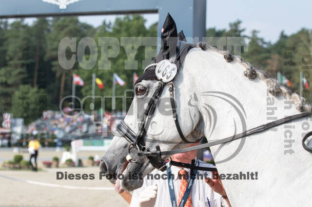 FEI European Championship Eventing 2019