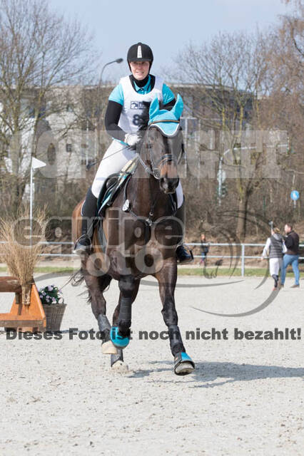 Eventing Langenfeld 2018