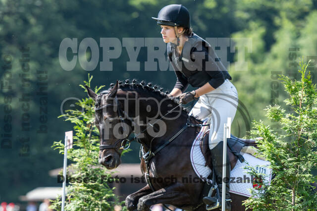 Goldene Schärpe 2021 - Ponys