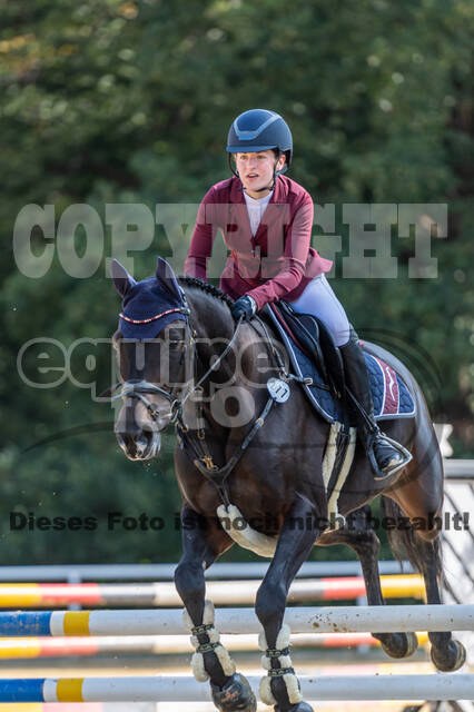 RFV Dinslaken-Hiesfeld (Herbstturnier)