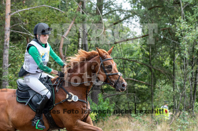 Late-Entry Vielseitigkeit Hamminkeln/Wesel (01.+02.08.2020)