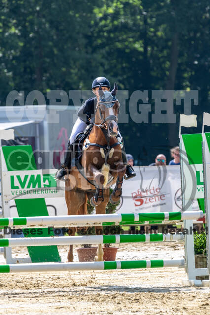 Goldene Schärpe 2021 - Ponys