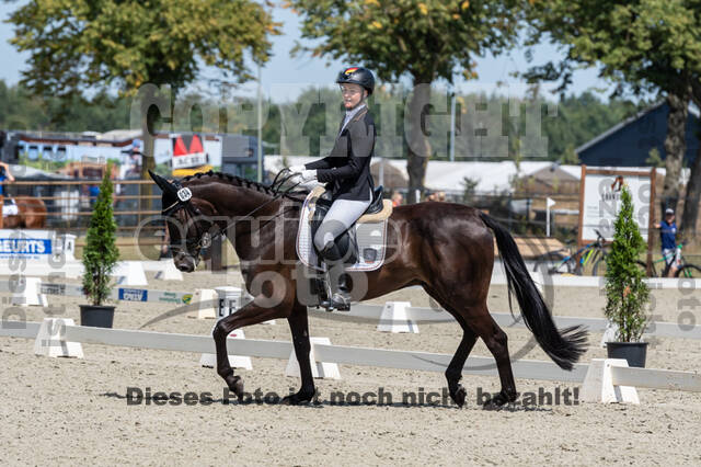 Kronenberg - De Peelbergen (August 2020)