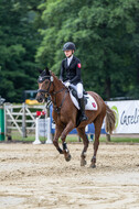 Goldene Schärpe 2021 - Ponys