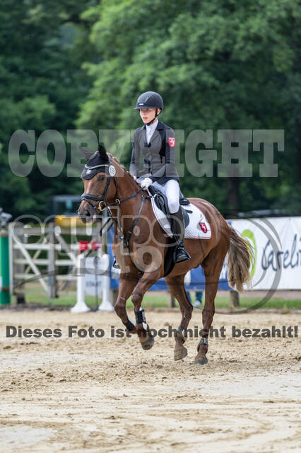 Goldene Schärpe 2021 - Ponys