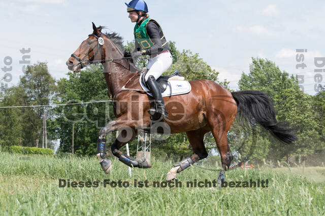 Vielseitigkeitsturnier ZRuFV von Lützow Hamminkeln