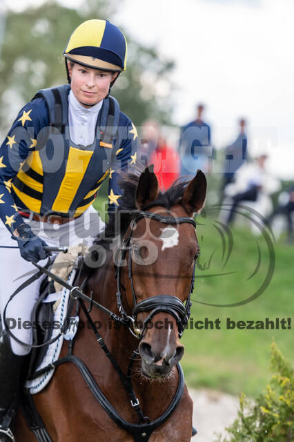 Late-Entry-Vielseitigkeit Langenfeld (06.+07.07.2020)