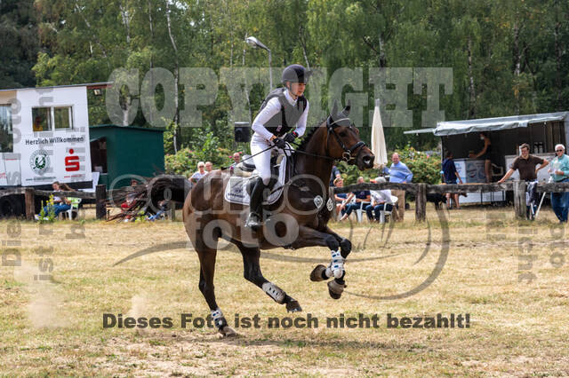 Late-Entry Vielseitigkeit Hamminkeln/Wesel (01.+02.08.2020)