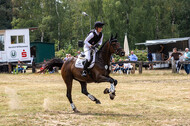Late-Entry Vielseitigkeit Hamminkeln/Wesel (01.+02.08.2020)