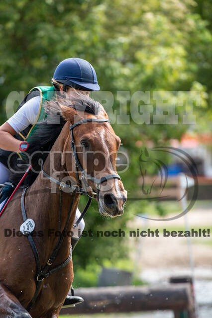 Landesturnier Rheinland, Vielseitigkeit, 22.+23.08.2020