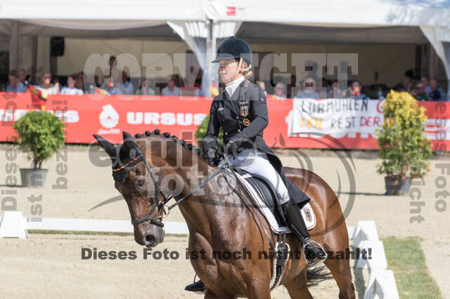 FEI European Championship Eventing 2017