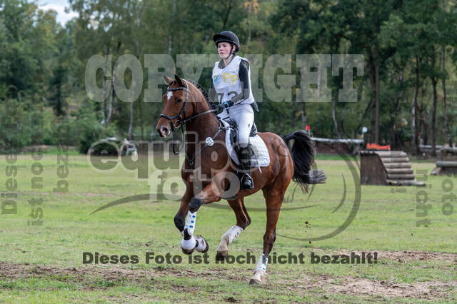 Vielseitigkeit RSV Wesel Obrighoven (26.+27.09.2020)