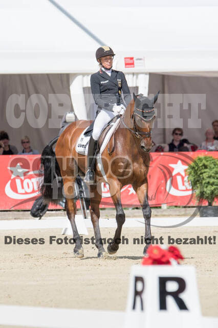 FEI European Championship Eventing 2017