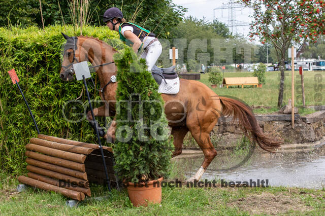 Late-Entry-Vielseitigkeit Gahlen (18.07.2020)