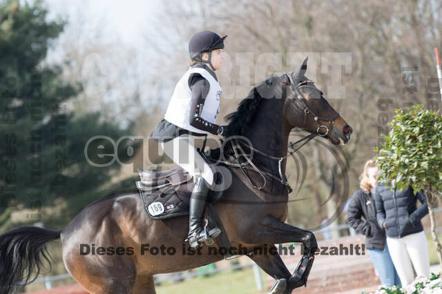 Eventing Langenfeld 2018