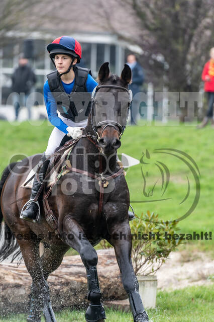 Goldene Schärpe 2020 - Pferde