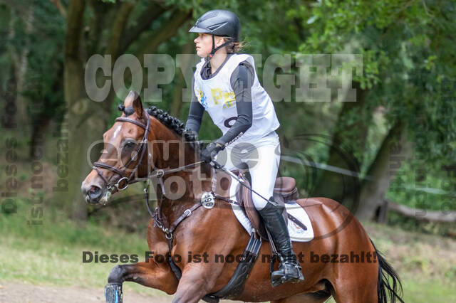 Late-Entry Vielseitigkeit Hamminkeln/Wesel (01.+02.08.2020)