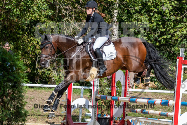RFV Dinslaken-Hiesfeld (Herbstturnier)