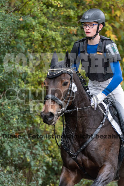 Goldene Schärpe 2020 - Pferde