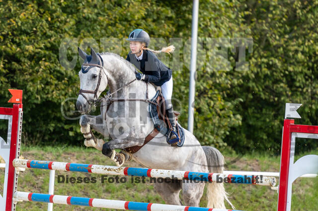 RFV Dinslaken-Hiesfeld (Herbstturnier)