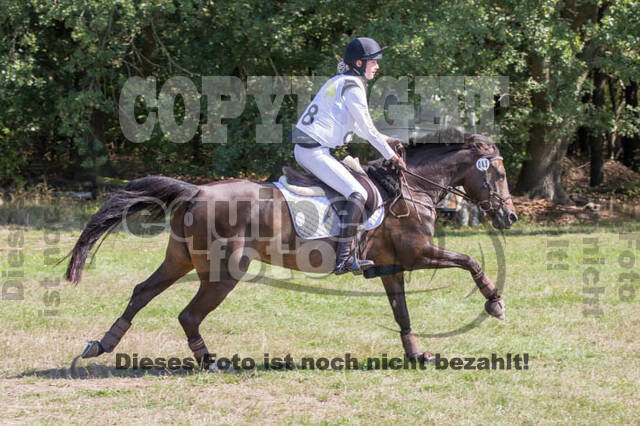 Vielseitigkeitsturnier RSV St. Hubertus Wesel Obrighoven