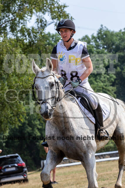 Late-Entry Vielseitigkeit Hamminkeln/Wesel (01.+02.08.2020)