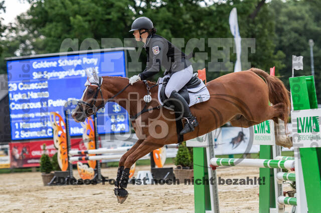 Goldene Schärpe 2021 - Ponys