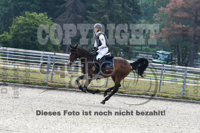 Late-Entry-Vielseitigkeit Langenfeld (11.+13./14.06.2020)