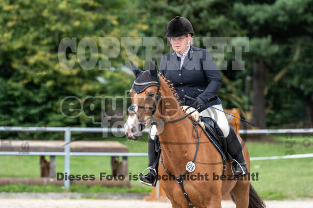 Late-Entry-Vielseitigkeit Langenfeld (06.+07.07.2020)