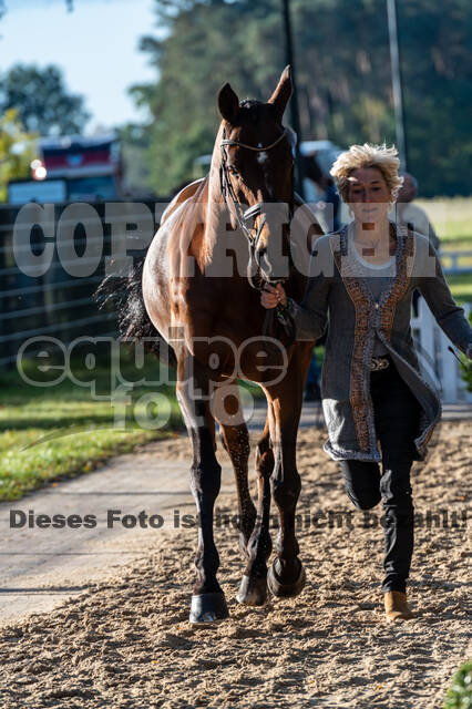 Deutsche Meisterschaft Vielseitigkeit (Luhmühlen)