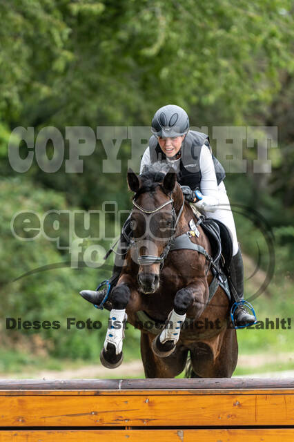 Late-Entry-Vielseitigkeit Langenfeld (06.+07.07.2020)