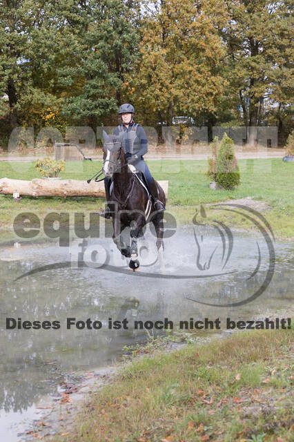 IGV Lehrgang der Sieger der Cups mit Frank Ostholt