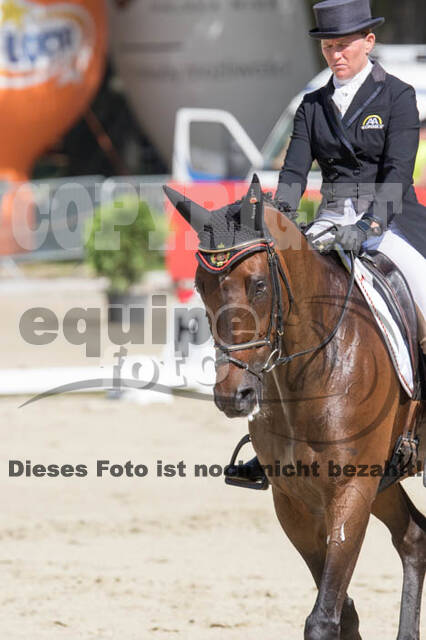 FEI European Championship Eventing 2017