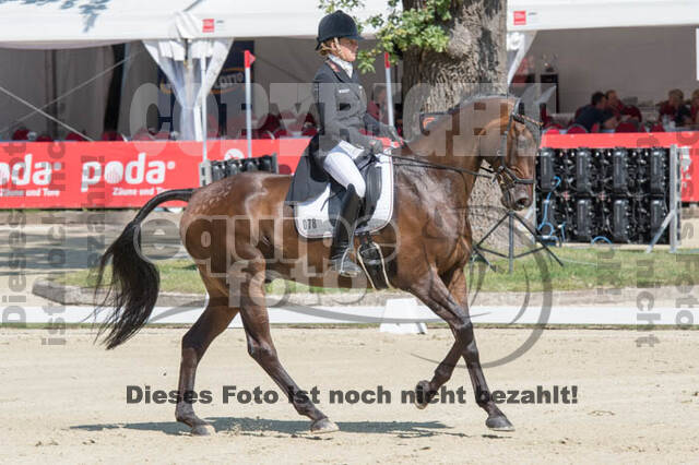 FEI European Championship Eventing 2017
