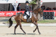 FEI European Championship Eventing 2017